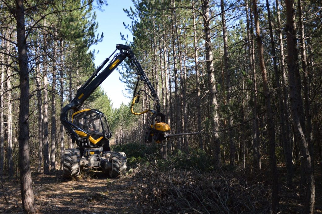 W jaki sposób głowice biomasowe usprawniają wycinkę drzew?